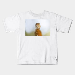 Harvest Mouse on Teasel Kids T-Shirt